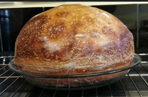Alaskan sourdough starter - sourdough,