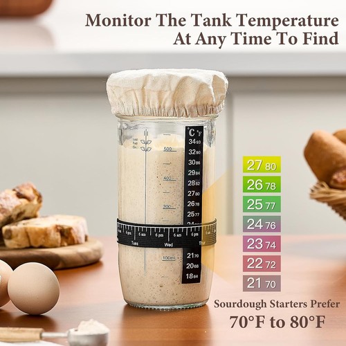 Sourdough starter kit pack - sourdough,